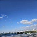 죽순농원식당 | 2025년 11월 첫째주 일기- 2025 서울미식주간 미식마켓 노들섬 방문 후기