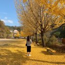 옥곡중학교 이미지