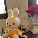 김밥산책 이미지