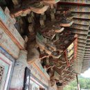 일향(一香) 이미지