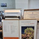 골드테라스2 | 인천 영종도 바다앞테라스 카페 후기｜빵지순례 필수 오션뷰 감성 카페 with 자연도 소금빵