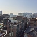 중앙동184 이미지