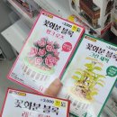 제일꽃화분 이미지