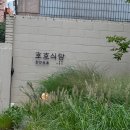 무성식당 이미지