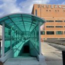 홍도지하보도 이미지