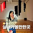 대전시립미술관 세미나실 | 대전 실내 가볼만한곳 대전시립미술관 입장료 전시 관람 후기