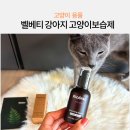 벨베티 | 강아지보습제 강아지발사탕, 습진에 좋은 리꼬르소 벨베티 고양이보습제 사용 후기