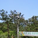 손골