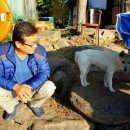 세월낚시터 이미지