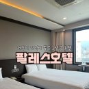 팔레스 | 제주 동문시장 근처 가성비 좋은 관광호텔 내돈내산 후기ㅣ제주팔레스호텔