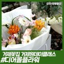 디어올플라워