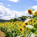 청성면다목적회관 이미지