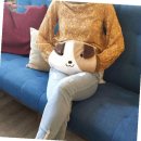 주식회사 청연 - 양주시 | 주식회사 청연