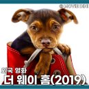 재향군인특별경로당 | 넷플릭스 추천작 영화 더웨이홈 실화 정보 반려견 따뜻한 여정