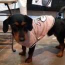 잔차나라 이미지