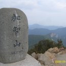 가지산농원 이미지