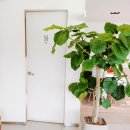 증산역 화장실 이미지