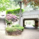 신광이발관 이미지