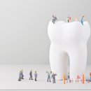 사파동155 이미지