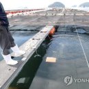 도암양식장 연합뉴스