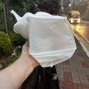레이크썬 | 목감 물왕호수 회맛집 [속초오징어어시장]광어+연어+새우튀김