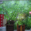 내몸에쑥뜸방 이미지