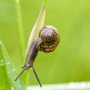 절차탁마 이미지