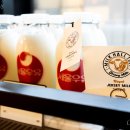 김진영농장 이미지