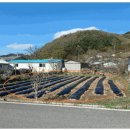 의곡초 일부분교 이미지