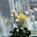 에이에이네일 | 이제 진짜 살뺀다