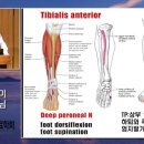 여수 씨에스나무병원 여수신문