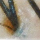 퀸즈헤나 이미지