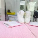 더 펫 애견샾 이미지