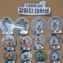 스탠퍼독 이미지