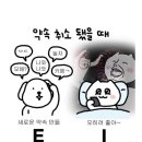 빅뱅사이언스 과학수사대 A | 2025 블로그 주인장 성격 30문답(+양식 댓글 공유)
