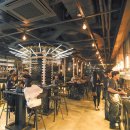 디플랜트 이미지