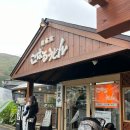 민2우동 | 후쿠오카 유후인 맛집 코하루우동 + 딸기크레페 군밤 카페젬스 솔직후기