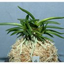 중광농장 이미지