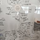 당돌이 클럽 | 후기 - 버니맥 독서클럽 6기 - 책읽는 모임