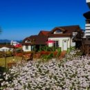 품안에 서해바다 이미지