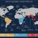 about coffee Day4. - 커피의 품종과 주요 생산국 이미지