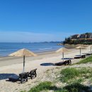 홍도엘도라도 이미지