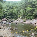 소막골야영장 이미지