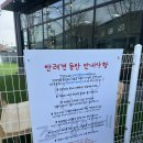 안중유치원 | [애견동반카페]평택안중 애견동반 카페 추천│조댕이네