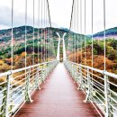 대황강 출렁다리 화장실 이미지