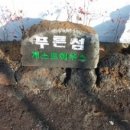 섬 게스트하우스 이미지