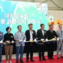 대관령농협 APC 이미지