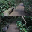 신흥2리 복지타운 | 제주 남원 가볼만한곳 농촌 체험마을 신흥2리 으뜸촌 동백마을, 큰엉해안경승지 외 국내 겨울여행지