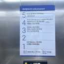 초롱태권도장 이미지