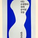 조이포레 네이버블로그